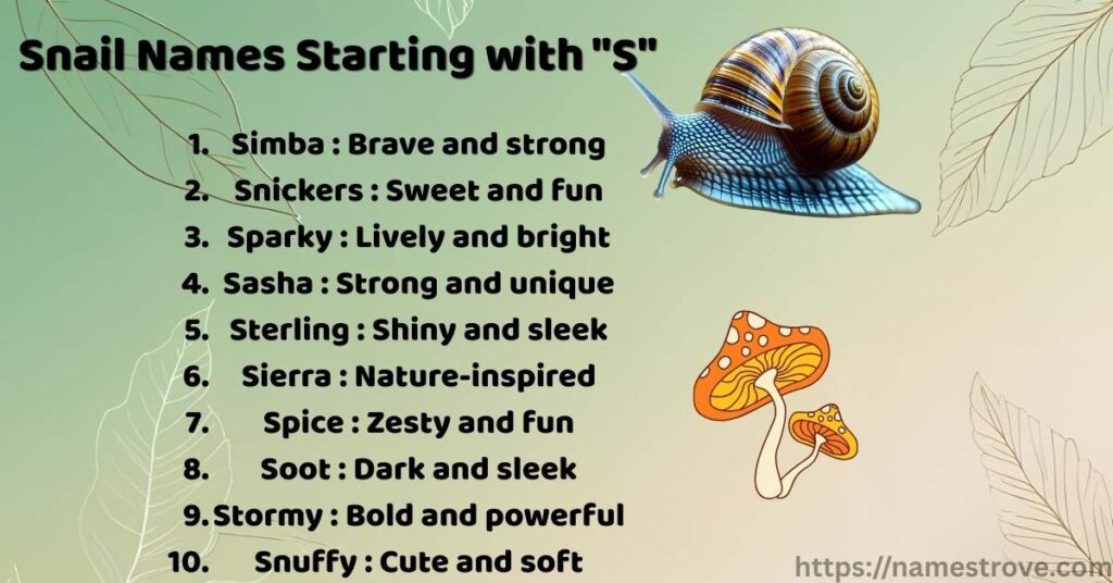 Snail Names Starting with S