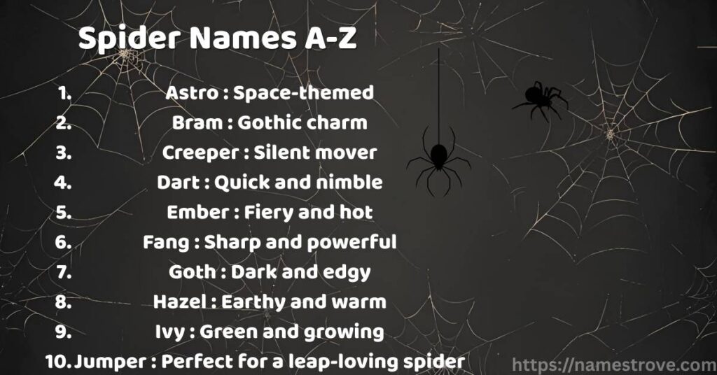 Spider Names A-Z