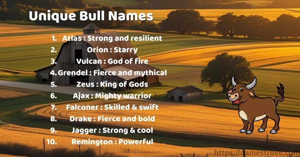 Unique Bull Names