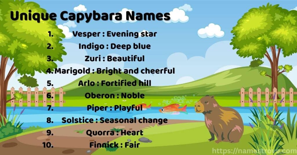 Unique Capybara Names