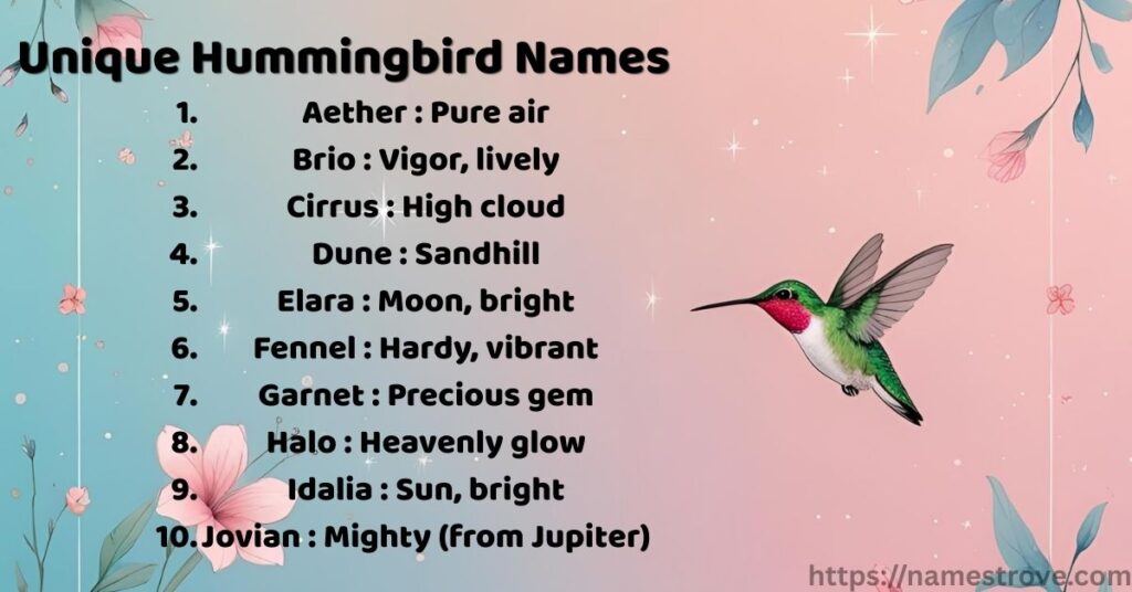Unique Hummingbird Names