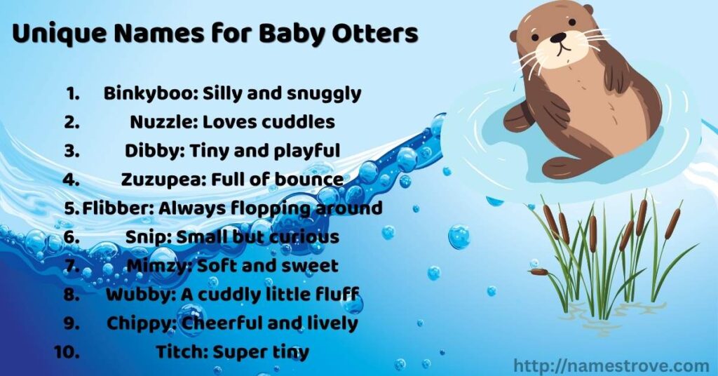 Unique Names for Baby Otters