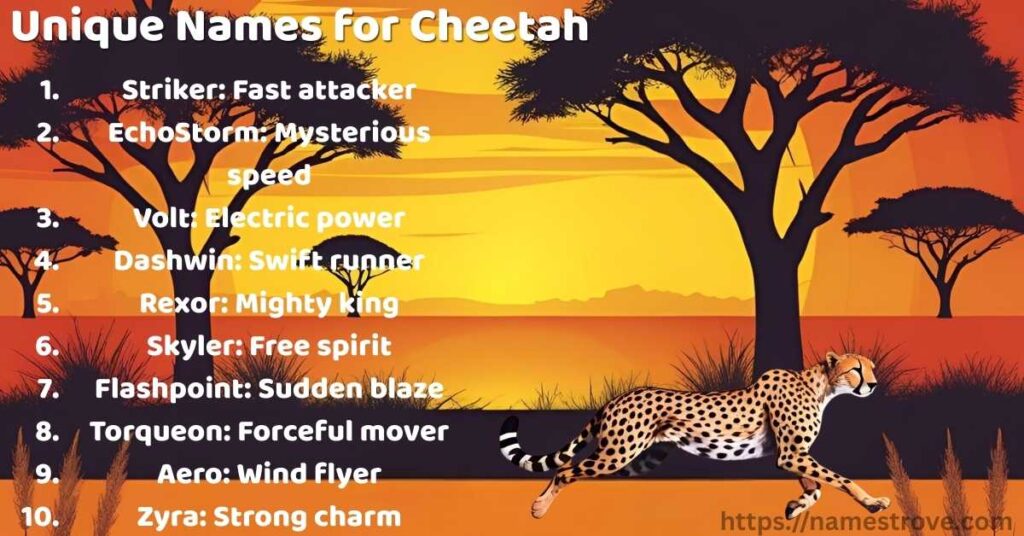 Unique Names for Cheetah