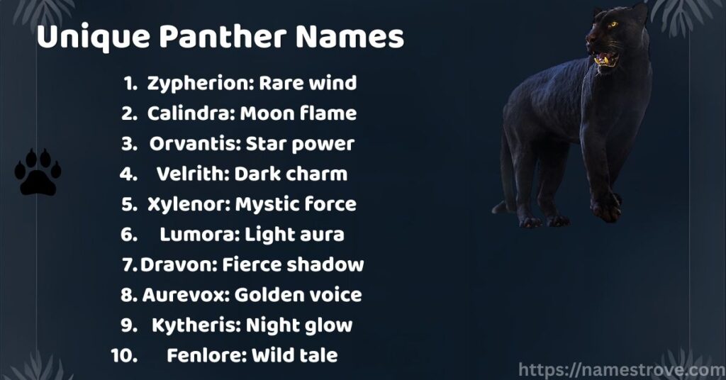 Unique Panther Names