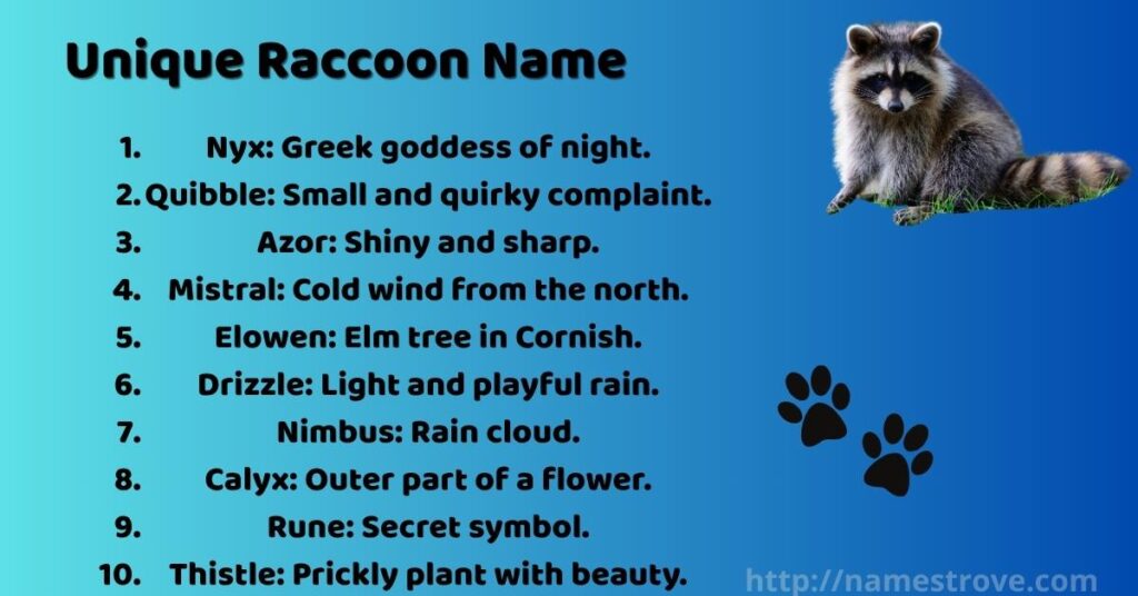 Unique Raccoon Name