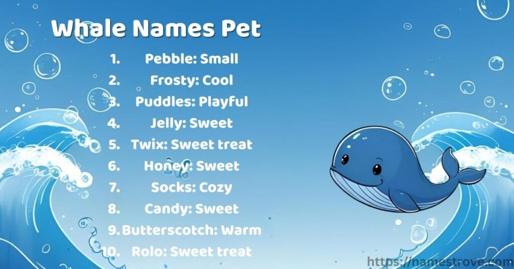 Whale Names Pet