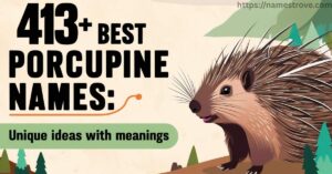 413+ Best Porcupine Names Unique Ideas with Meanings