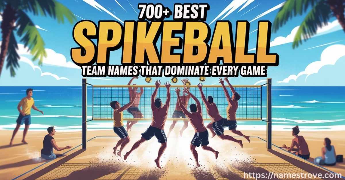 700+ Best Spikeball Team Names That Dominate Every Game