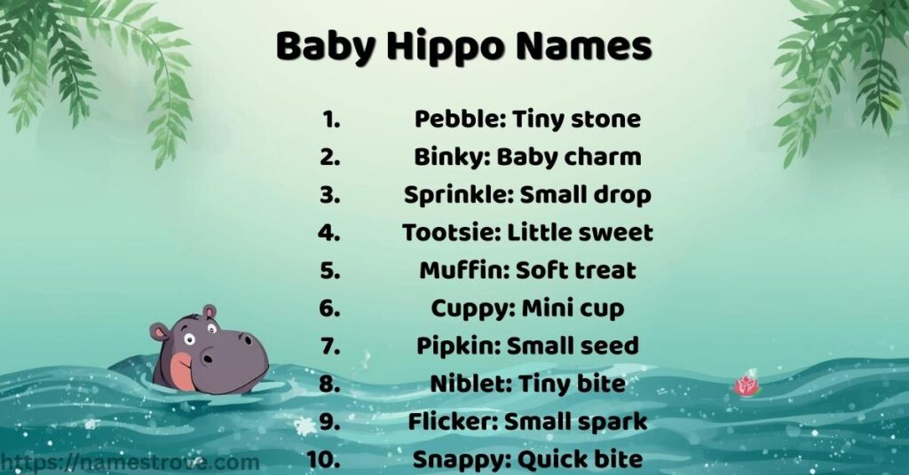Baby Hippo Names