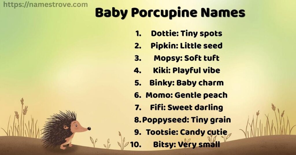 Baby Porcupine Names