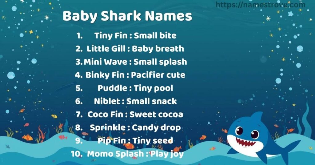 Baby Shark Names