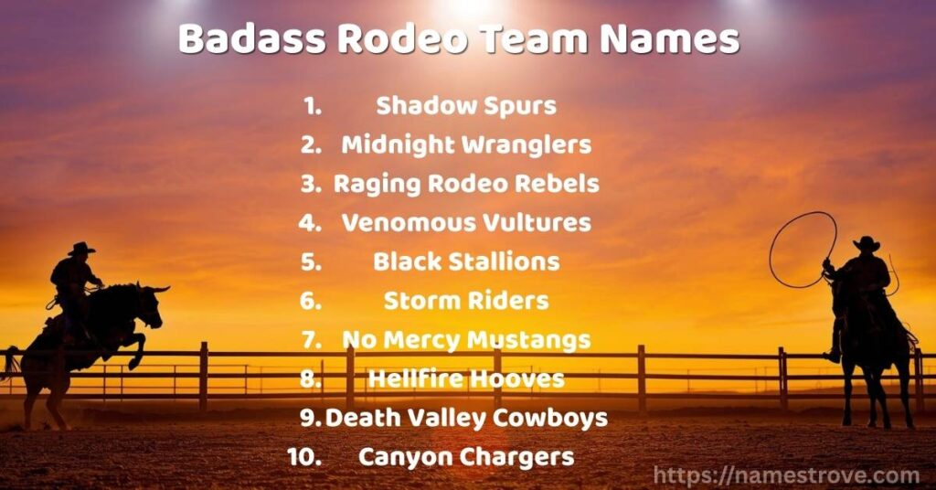 Badass Rodeo Team Names
