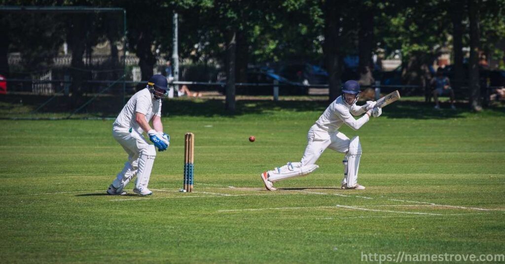 Basic Rules of Playing Cricket