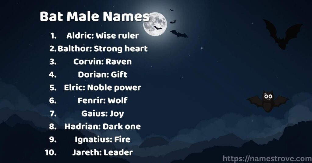 Bat Male Names