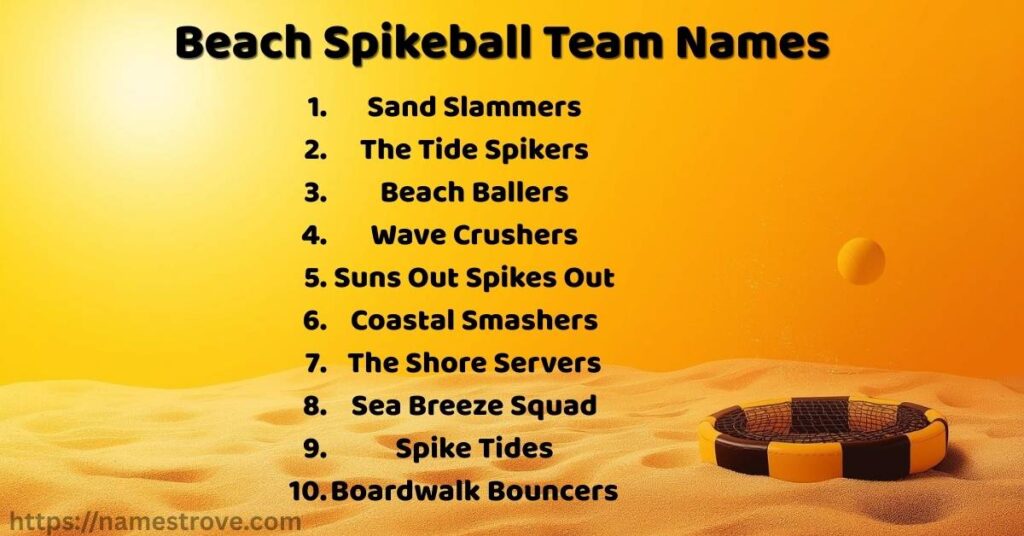 Beach Spikeball Team Names