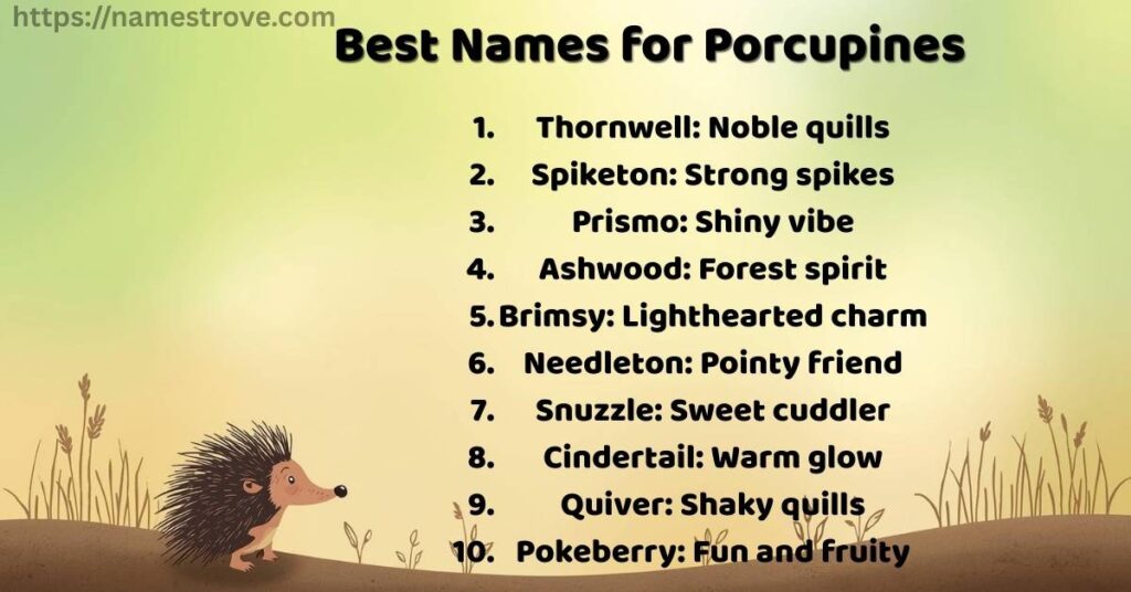 Best Names for Porcupines