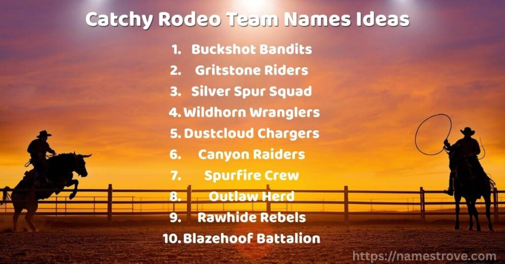 Catchy Rodeo Team Names Ideas