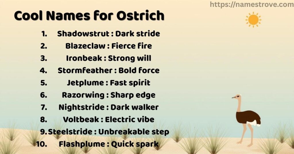 Cool Names for Ostrich