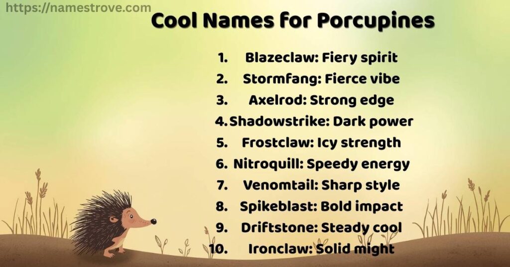 Cool Names for Porcupines
