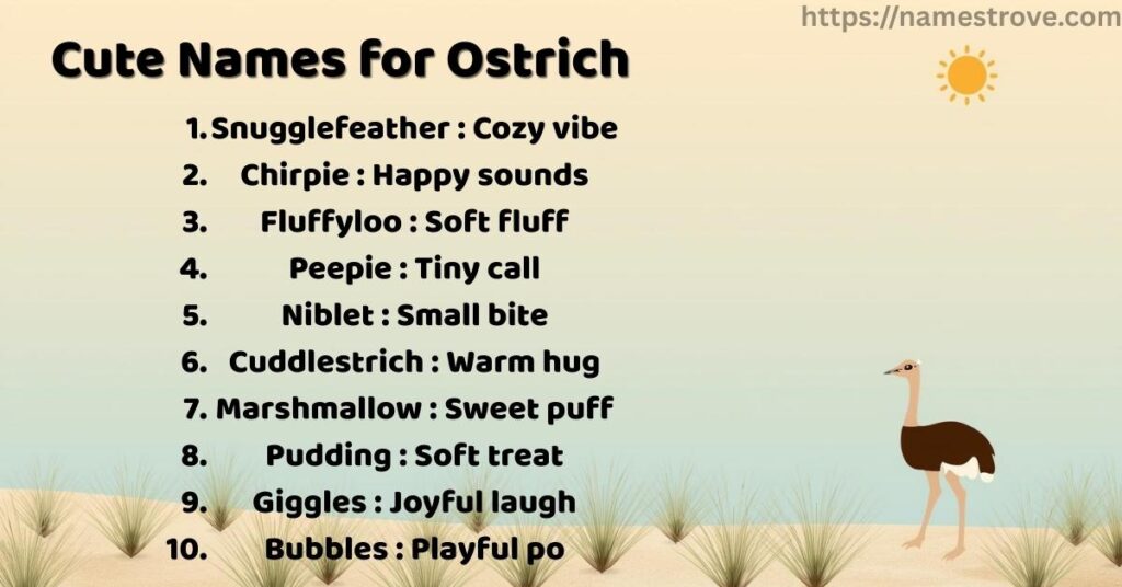 Cute Names for Ostrich