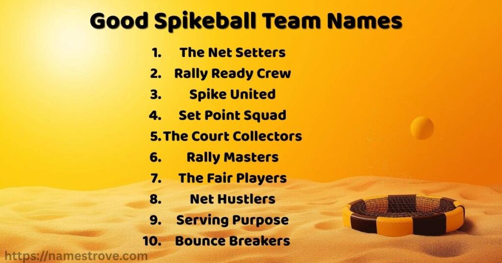 Good Spikeball Team Names