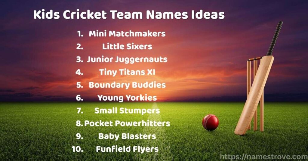 Kids Cricket Team Names Ideas