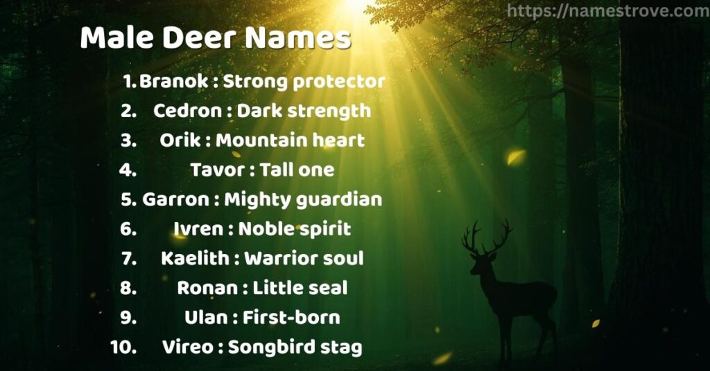 Male Deer Names