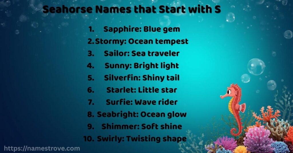 Seahorse Names that Start with S