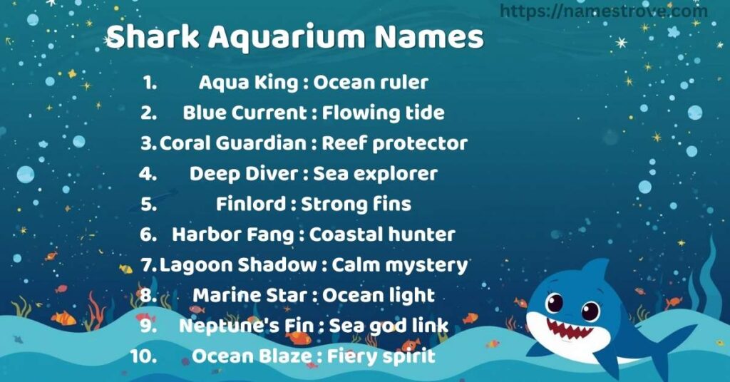 Shark Aquarium Names