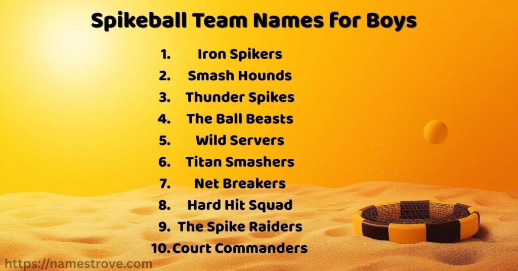 Spikeball Team Names for Boys