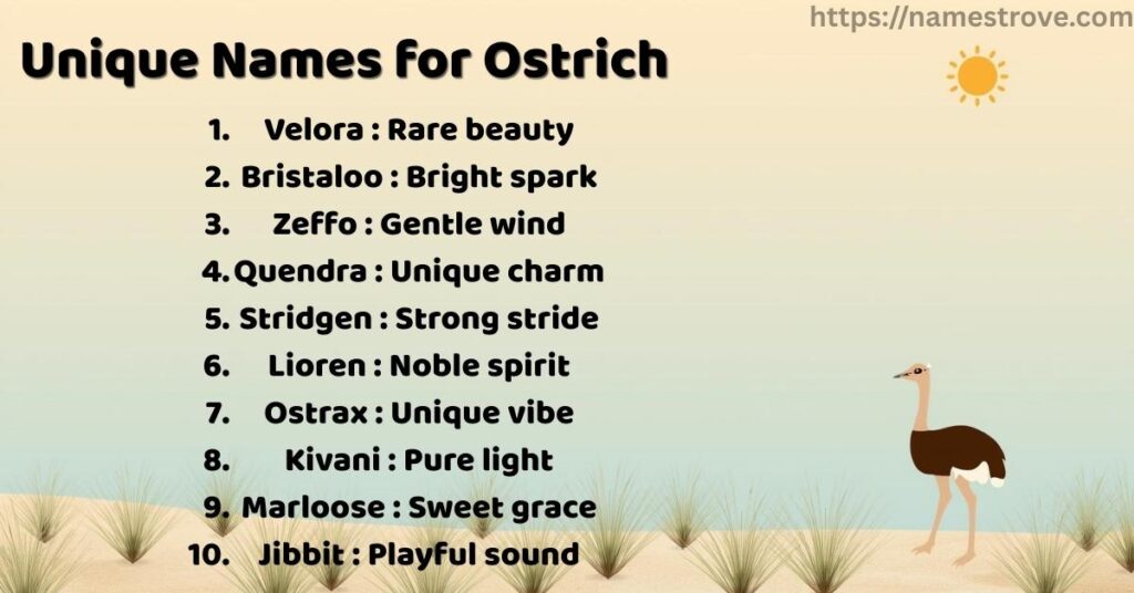 Unique Names for Ostrich