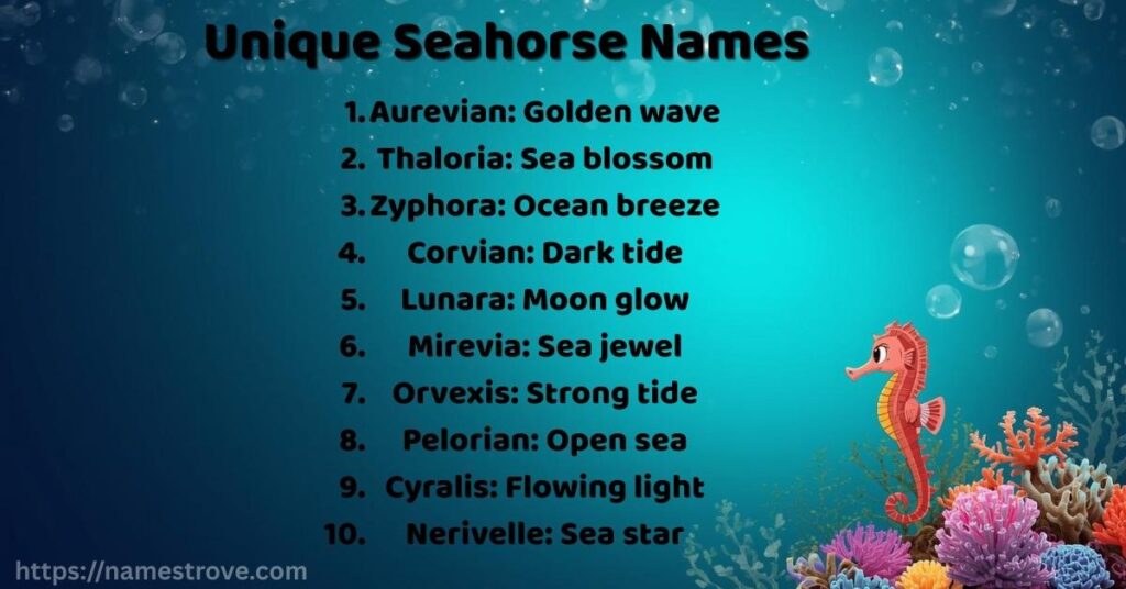 Unique Seahorse Names