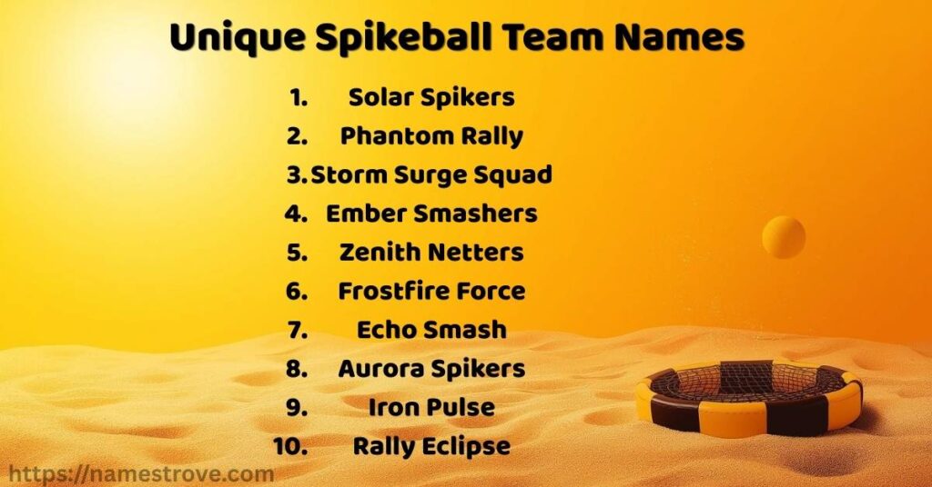 Unique Spikeball Team Names