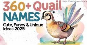 360+ Quail Names Cute, Funny & Unique Ideas (2025)