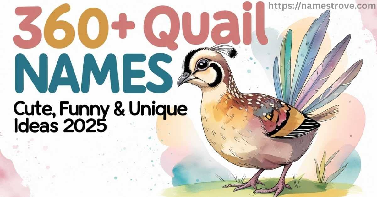 360+ Quail Names Cute, Funny & Unique Ideas (2025)