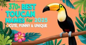 370+ Best Toucan Names for 2025 Cute, Funny & Unique