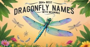 384+ Best Dragonfly Names with Meanings (Cute, Cool & Unique)