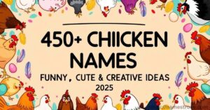 450+ Chicken Names Funny, Cute & Creative Ideas (2025)