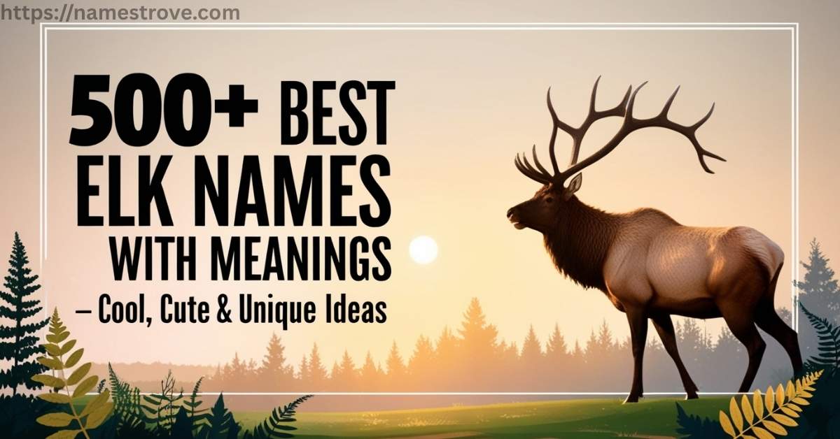 500+ Best Elk Names with Meanings — Cool, Cute & Unique Ideas