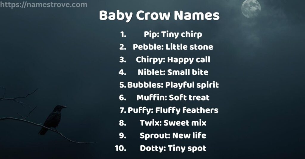 Baby Crow Names