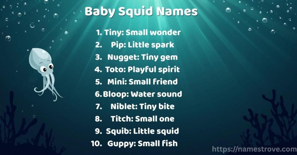 Baby Squid Names