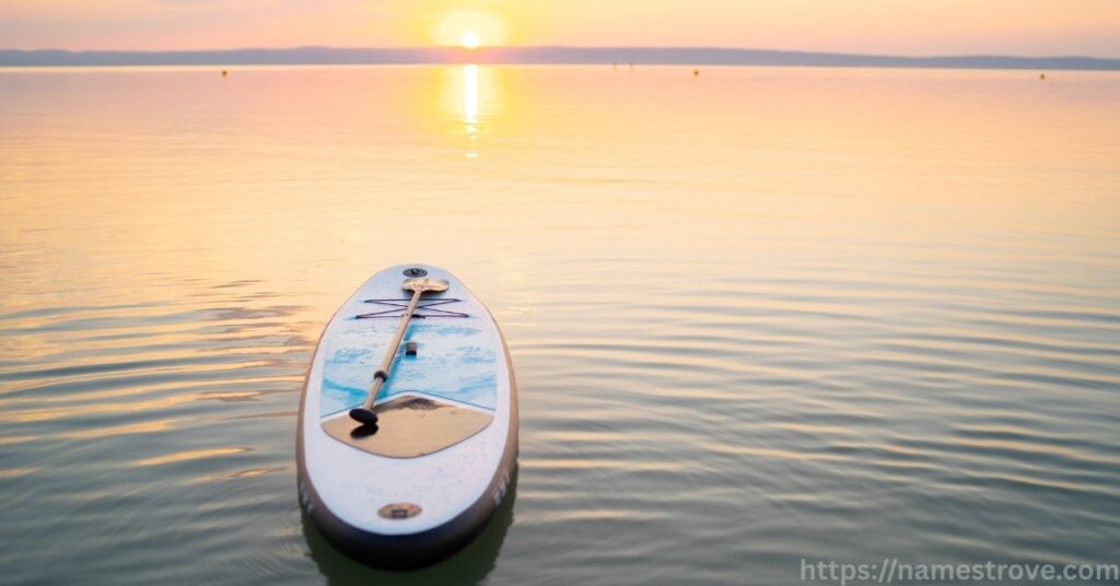 Basic Rules of Paddleboarding