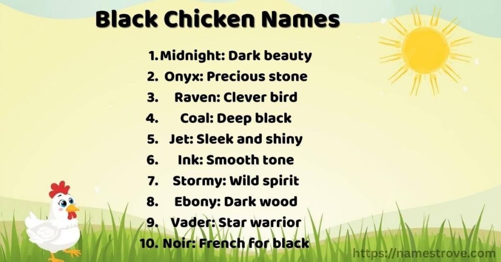 Black Chicken Names