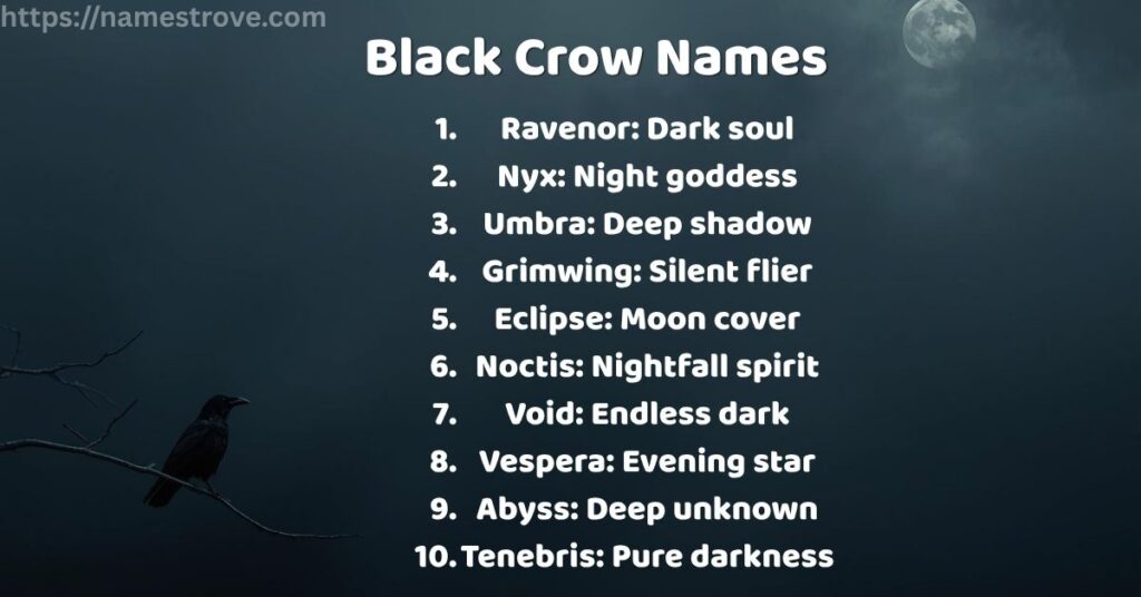 Black Crow Names