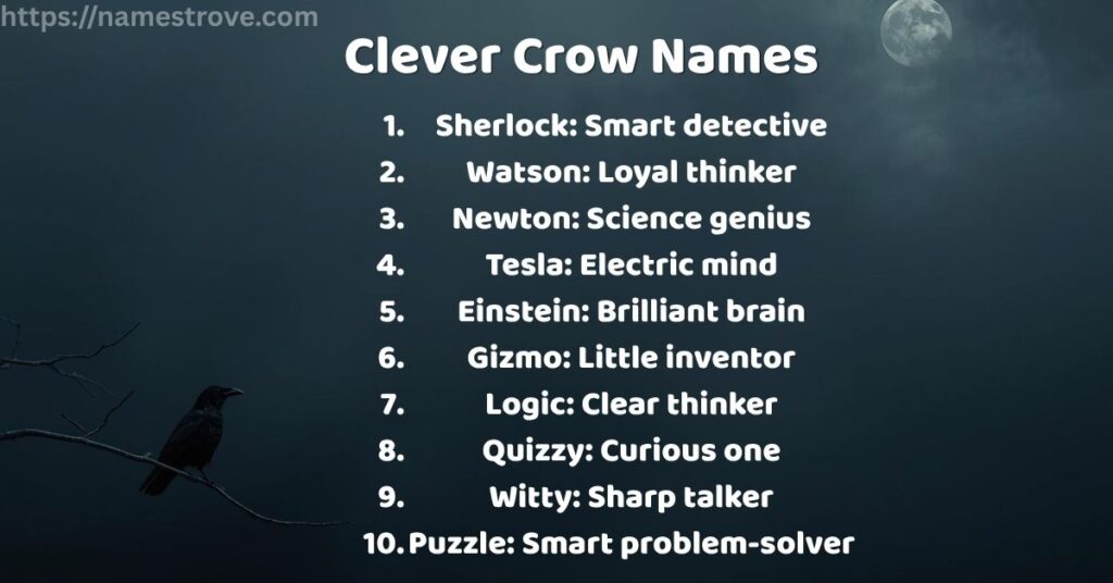 Clever Crow Names