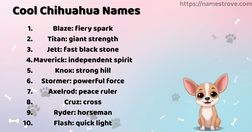 Cool Chihuahua Names