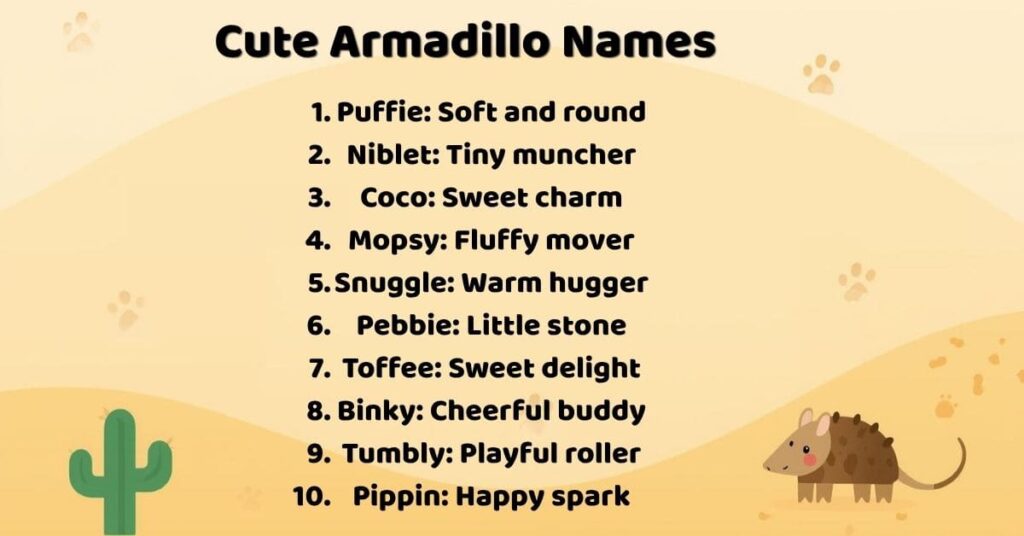 Cute Armadillo Names