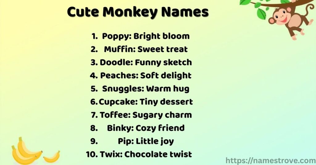 Cute Monkey Names