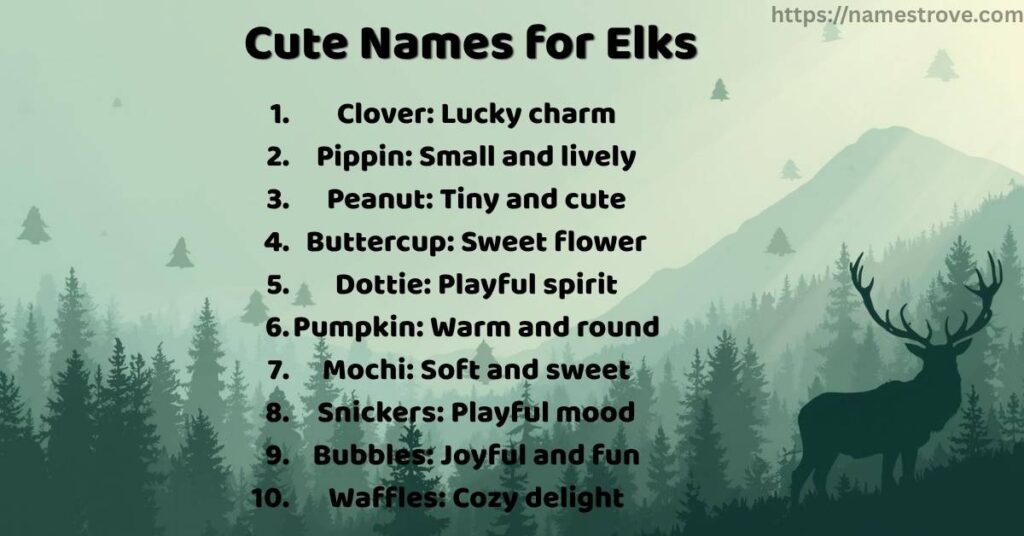 Cute Names for Elks