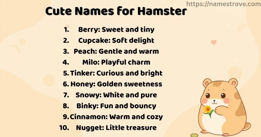 Cute Names for Hamster